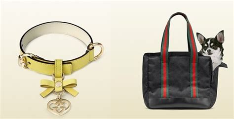 accessori cani gucci|Collari per cani Gucci e altri accessori .